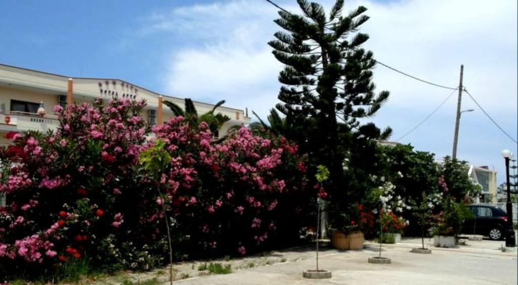 Sun City Kato Daratso Bagian luar foto